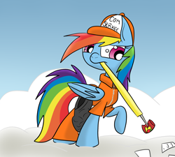 Size: 2000x1800 | Tagged: safe, artist:yourfavoritelove, rainbow dash, pegasus, pony, clothes, community service, prison outfit, prisoner rd, solo, trash