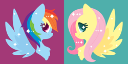 Size: 2448x1224 | Tagged: safe, artist:snow angel, fluttershy, rainbow dash, pegasus, pony, profile, simple background