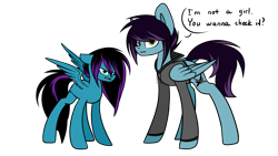 Size: 2560x1440 | Tagged: safe, artist:despotshy, oc, oc only, oc:despot, oc:despy, pegasus, pony, clothes, female, hoodie, male, mare, siblings, simple background, stallion, transparent background, twins