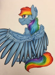 Size: 2264x3094 | Tagged: safe, artist:daviikin, rainbow dash, pegasus, pony, female, mare, marker drawing, simple background, sitting, solo, spread wings, traditional art, white background