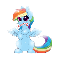 Size: 2000x2000 | Tagged: safe, artist:confetticakez, rainbow dash, pegasus, pony, candy, candy cane, cute, dashabetes, food, mouth hold, pumkinroll is trying to murder us, simple background, solo, white background