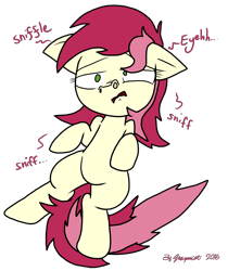 Size: 5916x7037 | Tagged: safe, artist:graymist, roseluck, absurd resolution, background pony, belly, cute, fetish, lying down, nostril flare, nostrils, on back, pre sneeze, simple background, sneezing, sneezing fetish, sniffling, solo, transparent background