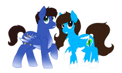 Size: 2500x1500 | Tagged: safe, artist:wintaura, oc, oc only, oc:chiarascura, oc:melody guardian, pegasus, pony, 2017 community collab, chest fluff, chialody, couple, derpibooru community collaboration, ear fluff, female, male, mare, raised hoof, simple background, smiling, spread wings, stallion, straight, transparent background