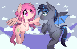 Size: 5950x3850 | Tagged: safe, artist:kawaiipony2, oc, oc only, oc:midnight aegis, oc:peach hack, bat pony, pegasus, pony, absurd resolution, blushing, boop, cute, descriptive noise, floating, lidded eyes, meme, noseboop, peagis