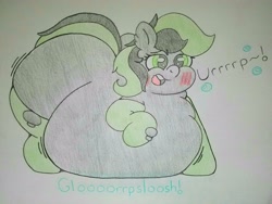 Size: 4032x3024 | Tagged: safe, artist:dorky-oreo-pone, oc, oc only, oc:varah bubble, pony, belly, big belly, blushing, burp, chubby, chubby cheeks, fat, female, huge belly, obese, simple background, solo, squishy, stomach noise, traditional art