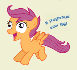 Size: 352x320 | Tagged: safe, edit, scootaloo, tails of equestria, captain obvious, citation needed, derp, scootaderp, scootaloo can fly, scootaloo can't fly, simple background, solo