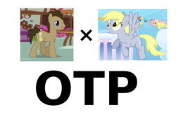 Size: 661x449 | Tagged: safe, derpy hooves, doctor whooves, fluttershy, rainbow dash, earth pony, pegasus, pony, doctorderpy, exploitable meme, female, filly, male, meme, otp, shipping, stallion, straight