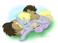 Size: 1014x754 | Tagged: safe, artist:northernlightsmlp, derpy hooves, dinky hooves, doctor whooves, pegasus, pony, doctorderpy, equestria's best father, equestria's best mother, female, male, mare, shipping, sleeping, straight, wing blanket