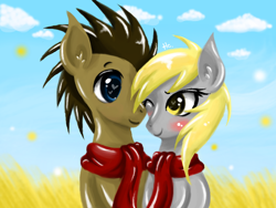 Size: 680x512 | Tagged: safe, artist:silvercommando, derpy hooves, doctor whooves, pegasus, pony, blushing, clothes, doctorderpy, female, field, heart eyes, male, mare, scarf, shared clothing, shared scarf, shipping, straight, wingding eyes