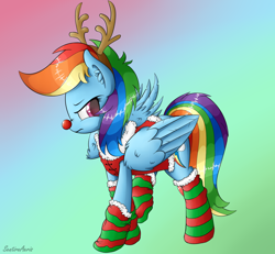 Size: 1518x1400 | Tagged: safe, artist:sentireaeris, rainbow dash, pegasus, pony, christmas, clothes, costume, cute, frown, one wing out, red nosed reindeer, reindeer dash, rudolph dash, socks, solo, striped socks