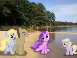 Size: 2592x1944 | Tagged: safe, artist:tokkazutara1164, amethyst star, derpy hooves, dinky hooves, doctor whooves, sparkler, pegasus, pony, barrier, beach, doctorderpy, female, irl, male, mare, peer, photo, ponies in real life, shipping, straight, tree, vector