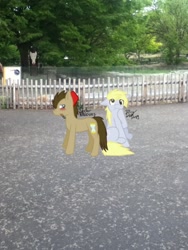 Size: 720x960 | Tagged: safe, derpy hooves, doctor whooves, pegasus, pony, blushing, doctorderpy, female, fence, fez, hat, irl, male, mare, photo, ponies in real life, ponified, shipping, slenderman, slenderpony, straight, tree