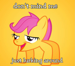 Size: 817x720 | Tagged: safe, edit, scootaloo, chickun, crab pony, exploitable meme, faic, forced meme, meme, orange (color), solo, wat, what has science done