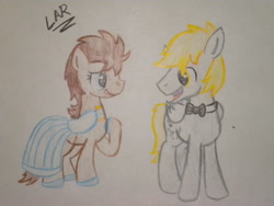 Size: 2592x1944 | Tagged: safe, artist:artistbrony, derpy hooves, doctor whooves, dopey hooves, the doctoress, bowtie, clothes, doctorderpy, dopeytoress, dress, female, male, rule 63, shipping, straight