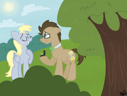 Size: 2048x1536 | Tagged: safe, artist:leetle-pink-fudge, derpy hooves, doctor whooves, pegasus, pony, crying, doctorderpy, female, male, mare, marriage proposal, ring, shipping, straight, tears of joy