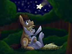 Size: 3264x2448 | Tagged: safe, artist:hilis, derpy hooves, doctor whooves, pony, cuddling, doctorderpy, male, night, on back, shipping, shooting star, sitting, snuggling, stallion, stargazing, straight