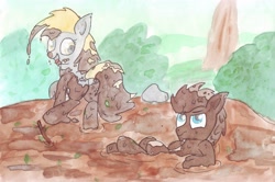 Size: 4677x3106 | Tagged: artist needed, source needed, safe, derpy hooves, doctor whooves, pegasus, pony, absurd resolution, dirty, doctorderpy, everfree forest, female, male, mare, messy, mud, mud bath, muddy, plant, playing, shipping, straight, traditional art, watercolor painting