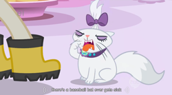 Size: 852x471 | Tagged: safe, screencap, opalescence, cat, detailed background, female, pet, white coat, youtube caption