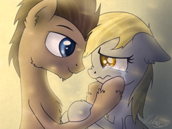Size: 1920x1440 | Tagged: safe, artist:helmie-art, derpy hooves, doctor whooves, earth pony, pegasus, pony, cheering up, chest fluff, comforting, crying, doctorderpy, female, floppy ears, looking at each other, male, regeneration, sad, shipping, smiling, straight