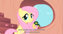 Size: 855x469 | Tagged: safe, derpibooru import, screencap, fluttershy, pegasus, pony, butt, caption, cute, female, flutterbutt, golden oaks library, mare, plot, shyabetes, solo, stairs, window, youtube caption