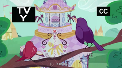 Size: 849x471 | Tagged: safe, screencap, bird, sisterhooves social, carousel boutique, tree, youtube caption