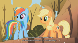 Size: 640x355 | Tagged: safe, derpibooru import, screencap, applejack, rainbow dash, earth pony, pegasus, pony, female, mare, youtube caption