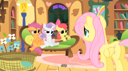 Size: 640x355 | Tagged: safe, derpibooru import, screencap, apple bloom, fluttershy, scootaloo, sweetie belle, pegasus, pony, youtube caption