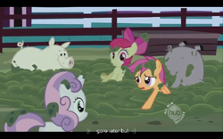 Size: 640x400 | Tagged: safe, screencap, apple bloom, scootaloo, sweetie belle, family appreciation day, cutie mark crusaders, youtube caption