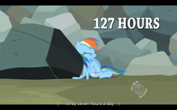 Size: 1024x640 | Tagged: safe, derpibooru import, screencap, rainbow dash, pegasus, pony, may the best pet win, youtube caption