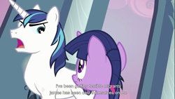 Size: 1366x768 | Tagged: safe, screencap, shining armor, twilight sparkle, pony, unicorn, youtube caption, youtube link