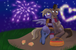 Size: 1024x678 | Tagged: safe, artist:twilightwolf91, derpy hooves, doctor whooves, pony, blushing, clothes, doctorderpy, female, heart, male, mare, night, picnic, scarf, shipping, socks, stallion, straight