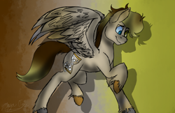 Size: 746x484 | Tagged: safe, artist:catlordess295, derpy hooves, doctor whooves, ambiguous gender, doctorderpy, female, fusion, male, shipping, straight