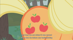 Size: 855x472 | Tagged: safe, derpibooru import, edit, edited screencap, screencap, applejack, earth pony, pony, call of the cutie, caption, female, mare, solo, youtube caption