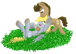 Size: 3661x2586 | Tagged: safe, artist:pzkratzer, derpy hooves, doctor whooves, belly button, cute, derpabetes, dirty, doctorderpy, female, grass, hug, male, on back, plot, shipping, simple background, straight