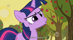 Size: 852x474 | Tagged: safe, screencap, twilight sparkle, pony, unicorn, female, mare, purple coat, solo, youtube caption