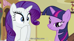 Size: 853x473 | Tagged: safe, derpibooru import, screencap, rarity, twilight sparkle, pony, unicorn, female, horn, mare, purple mane, white coat, youtube caption