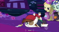 Size: 851x467 | Tagged: safe, edit, edited screencap, screencap, alula, noi, pipsqueak, earth pony, pony, luna eclipsed, caption, colt, dead, male, youtube caption