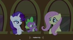 Size: 853x474 | Tagged: safe, derpibooru import, screencap, fluttershy, rarity, spike, dragon, pegasus, pony, unicorn, youtube caption