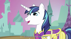 Size: 853x474 | Tagged: safe, screencap, shining armor, pony, unicorn, princess mia moericke denser, wat, youtube caption