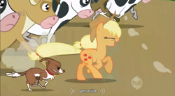 Size: 855x471 | Tagged: safe, derpibooru import, screencap, applejack, winona, earth pony, pony, genocide, youtube caption