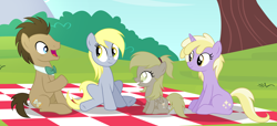 Size: 4308x1968 | Tagged: safe, artist:velveagicsentryyt, derpy hooves, dinky hooves, doctor whooves, oc, oc:muffinyves, pegasus, pony, doctor whooves gets all the assistants, doctorderpy, family, female, filly, male, offspring, older, parent:derpy hooves, parent:doctor whooves, parents:doctorderpy, picnic blanket, shipping, straight