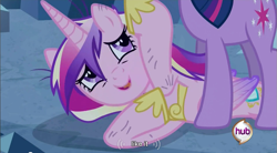 Size: 853x472 | Tagged: safe, screencap, princess cadance, twilight sparkle, alicorn, pony, a canterlot wedding, hub logo, out of context, youtube caption