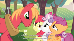 Size: 1366x768 | Tagged: safe, screencap, apple bloom, big macintosh, scootaloo, sweetie belle, earth pony, pony, ponyville confidential, cutie mark crusaders, male, stallion, youtube caption, youtube link