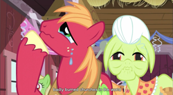 Size: 855x471 | Tagged: safe, screencap, big macintosh, granny smith, earth pony, pony, church, male, religion, stallion, youtube caption