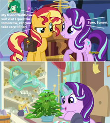 Size: 1280x1444 | Tagged: safe, edit, edited screencap, screencap, phyllis, starlight glimmer, sunset shimmer, wallflower blush, a horse shoe-in, better together, equestria girls, forgotten friendship, mirror magic, spoiler:eqg specials, comic, plant, screencap comic, species swap, wallflower is a plant, wallflowerbuse, we are going to hell