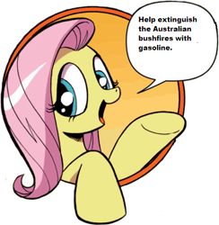 Size: 421x431 | Tagged: safe, derpibooru import, idw, fluttershy, pegasus, pony, australia, australian bushfires, bad advice fluttershy, blue eyes, dialogue, exploitable meme, female, gasoline, mare, meme, open mouth, pink mane, raised hoof, raised leg, simple background, smiling, solo, speech bubble, talking to viewer, underhoof, we are going to hell, yellow coat