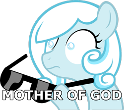 Size: 1173x1040 | Tagged: safe, oc, oc only, oc:snowdrop, pegasus, pony, blind, blind joke, caption, female, filly, hoof hold, image macro, meme, mother of god, reaction image, shocked, simple background, solo, sunglasses, text, transparent background, vector, we are going to hell