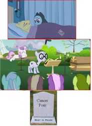 Size: 650x884 | Tagged: safe, derpibooru import, edit, edited screencap, screencap, cancer pony, coco crusoe, fuzzy slippers (character), lyra heartstrings, mr. waddle, oakey doke, rainbow dash, earth pony, pegasus, pony, unicorn, hearts and hooves day (episode), read it and weep, background pony, cancer (disease), clerical collar, coffin, death, elderly, female, filly, fridge horror, funeral, glasses, grave, hub logo, image macro, liver spots, male, mare, meme, stallion, the implications are horrible, unfortunate implications, welch