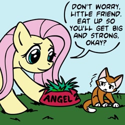 Size: 945x945 | Tagged: source needed, safe, artist:megasweet, derpibooru import, fluttershy, cat, pegasus, pony, animal abuse, colored, dialogue, female, food bowl, fridge horror, grass, implied death, mare, the implications are horrible, we are going to hell