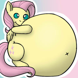 Size: 500x500 | Tagged: safe, artist:cherrycheesecake, fluttershy, pegasus, pony, belly, fat, inflation, solo